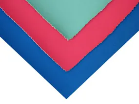 چرم کفش